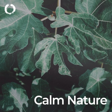 Stress Relief with Green Noise ft. Forest Sounds & Bird Sounds | Boomplay Music