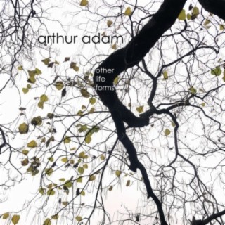 Arthur Adam