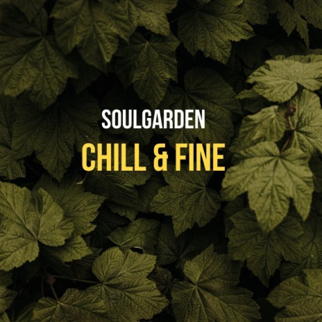 Chill & Fine | Boomplay Music