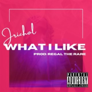 What I Like (feat. Jrichol)