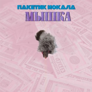 Мышка