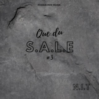 Que du sale 3