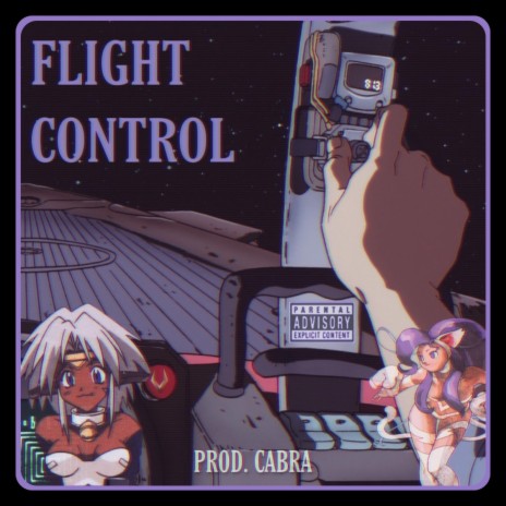 FLIGHT CONTROL