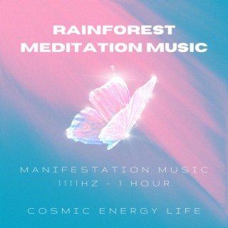 Rainforest Meditation Music