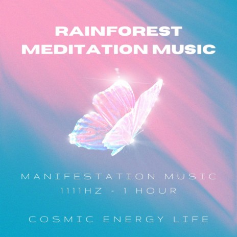 Rainforest Meditation Music