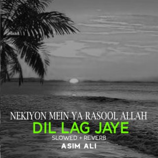 Nekiyon Mein Ya Rasool Allah Dil Lag Jaye Lofi