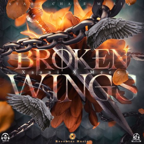 Broken Wings ft. Meech | Boomplay Music