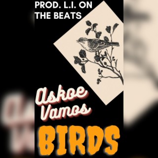 Birds ft. Vamos - prod. L.i. On the Beats lyrics | Boomplay Music