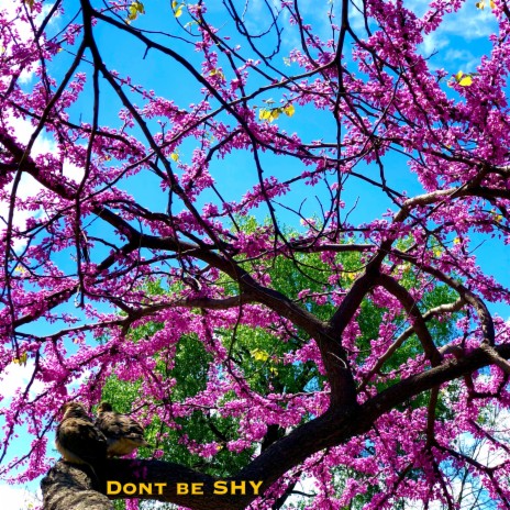 Don't Be Shy | Boomplay Music