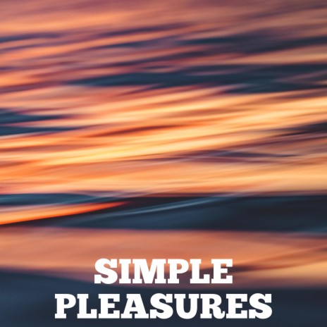 Simple Pleasures | Boomplay Music