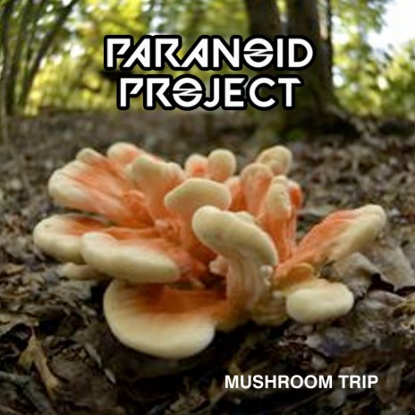 Mushroom Trip