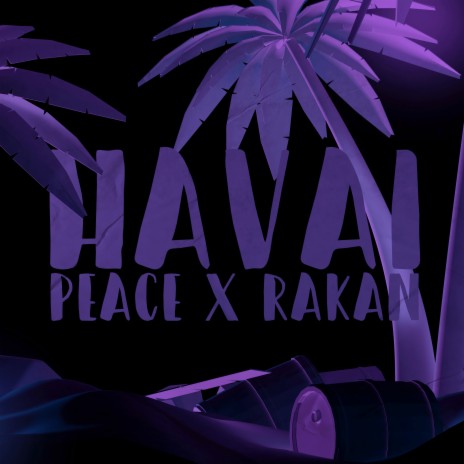 Havai ft. Rakan | Boomplay Music