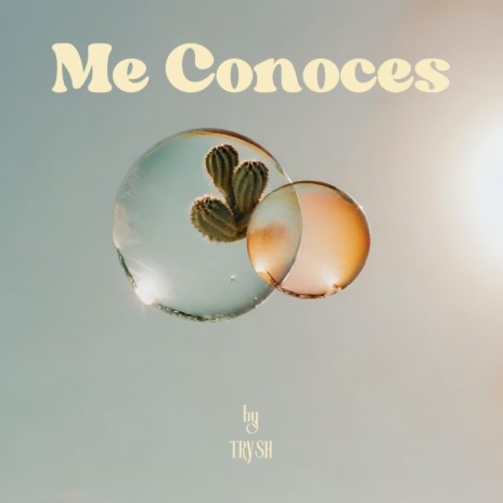 Me Conoces | Boomplay Music