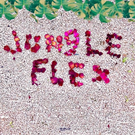 Jungle Flex | Boomplay Music