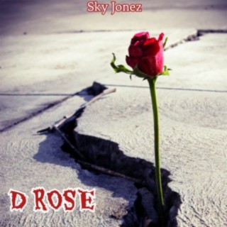 D Rose