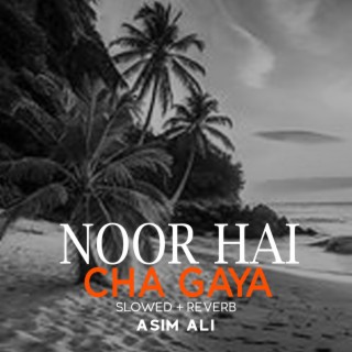 Noor Hai Cha Gaya Lofi