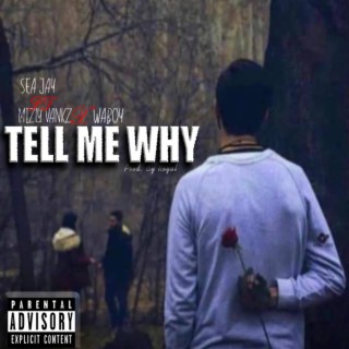 Tell Me Why (feat. Mizly vankz & Waboy)