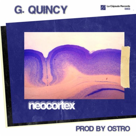 NEOCORTEX ft. Prod By Ostro & Ostro | Boomplay Music