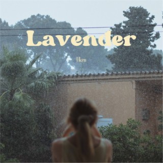 Lavender