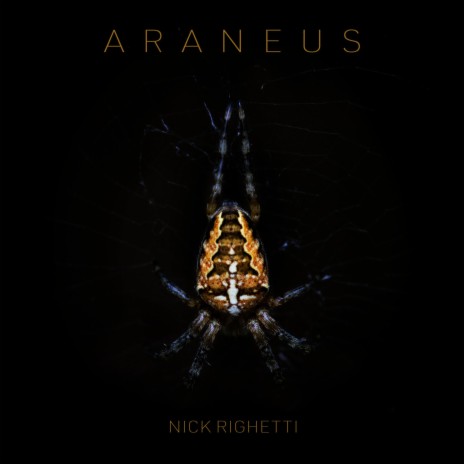 Araneus | Boomplay Music