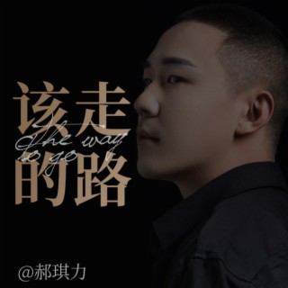 该走的路（男版） lyrics | Boomplay Music