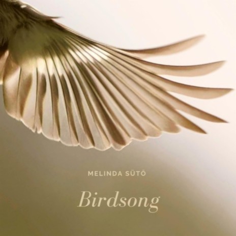 Birdsong | Boomplay Music