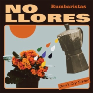 No Llores (Don't Cry Sister)