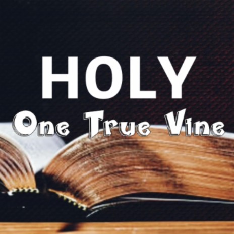 HOLY (One True Vine) | Boomplay Music