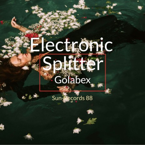 Electronic Splitter | Boomplay Music