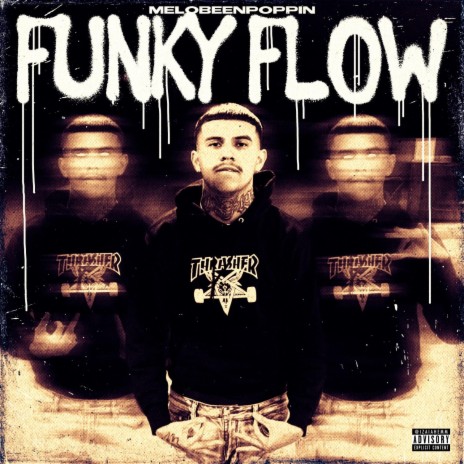 Funky Flow | Boomplay Music
