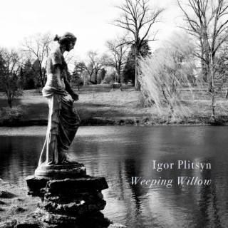 Weeping Willow