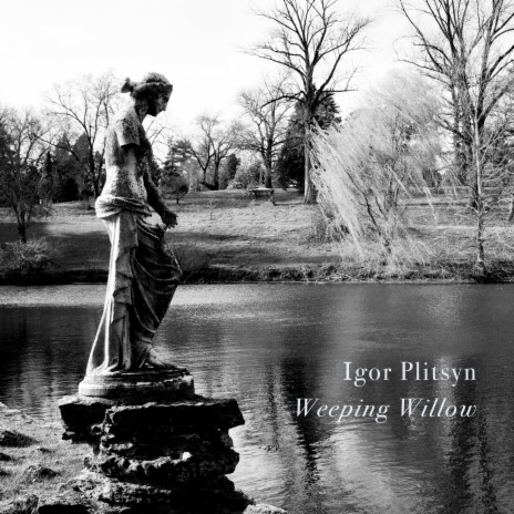 Weeping Willow