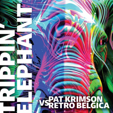 Trippin' Elephant (Radio edit) ft. Retro Belgica | Boomplay Music