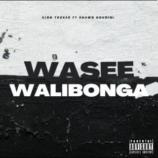 Wasee walibonga (feat. Shawn houdini)