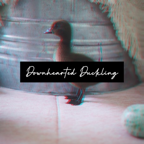 Downhearted Duckling