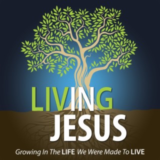 Introducing: Living IN Jesus