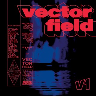 Vector Field