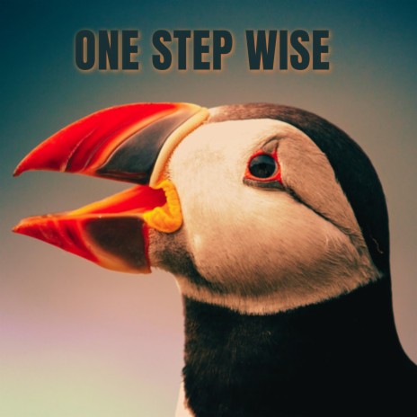 One Step Wise | Boomplay Music