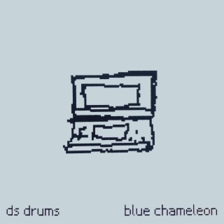 DS Drums iv