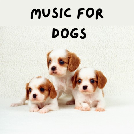 Gentle Growls ft. Calm Pets Music Academy, Music For Dogs Peace & Music For Dogs | Boomplay Music