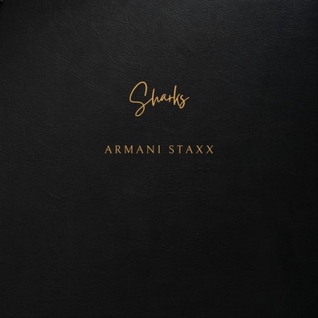 Armani Staxx Sharks MP3 Download Lyrics Boomplay