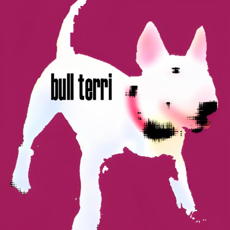 bull terri | Boomplay Music