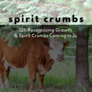 121: Recognizing Growth & Spirit Crumbs Coming in 3s