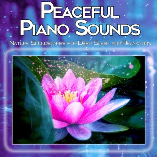 Peaceful Piano Sounds: Nature Soundscapes for Deep Sleep and Relaxation