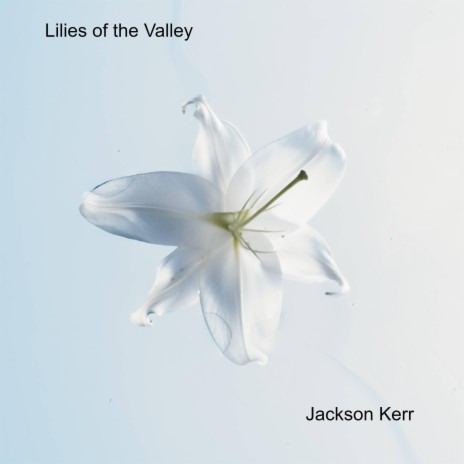 Lilies of the Valley | Boomplay Music