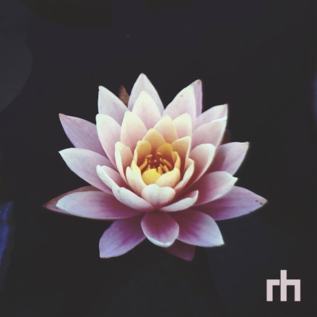 Lotus | Boomplay Music