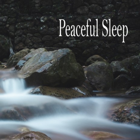 Paradigm Shift ft. Serenidad y Armonía & Lluvia para un sueño profundo