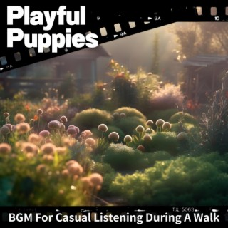 Bgm for Casual Listening During a Walk