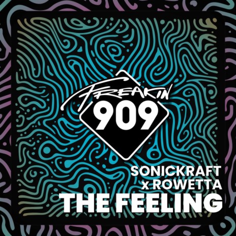 The Feeling (Radio Mix) ft. Rowetta | Boomplay Music