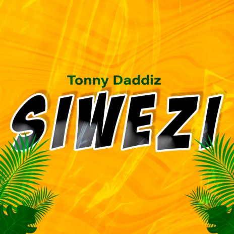 Siwezi | Boomplay Music